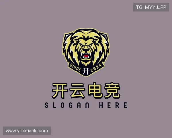 解读开云·电竞